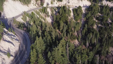 Dark-SUV-vehicle-drives-down-a-two-lane-freeway-winding-through-a-mountainous-pine-forest