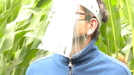 Male-caucasian-person-in-blue-sweater,-facemask-and-face-shield-walking-through-a-cornfield-and-looking-around-with-bright-light-from-above-reflecting-in-the-plastic-protective-mask
