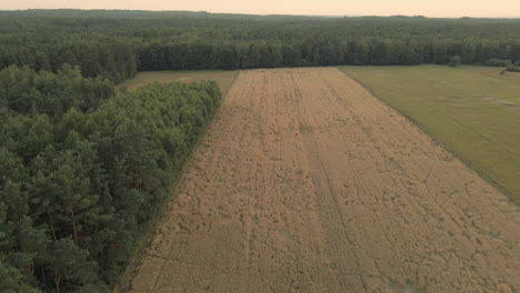 Herausziehen-Schuss-über-Felder-Bewirtschafteter-Forstwirtschaft-In-Polen