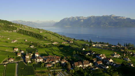 Pueblo-De-Savuit-En-El-Viñedo-De-Lavaux,-Con-El-Lago-Leman-Y-Las-Montañas-De-Los-Alpes-En-El-Fondo-Al-Atardecer-En-Suiza---Toma-Aérea