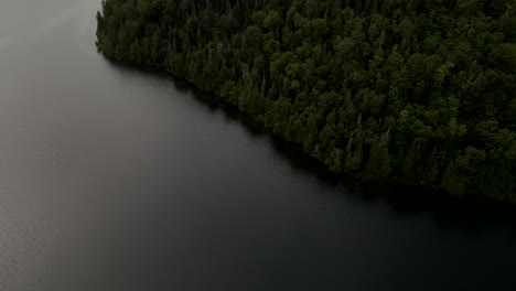 Impresionante-Paisaje-De-Bosque-Verde-De-Coníferas-Junto-Al-Tranquilo-Lago-En-Gaspesie,-Quebec,-Canadá