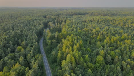 Aerial-view-of-highway-winding-through-the-vast-forests-near-Koleczkowo-Poland