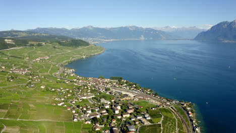 Beautiful-Agricultural-And-Wild-Landscape-Of-Lavaux---Cully-village-and-Lake-Leman,-Switzerland---Aerial-Shot