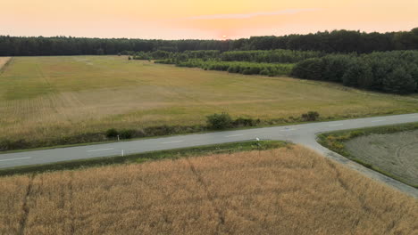 Ascending-aerial-view-of-golden-agriculture-fields,-empty-road-und-forest-during-sunset