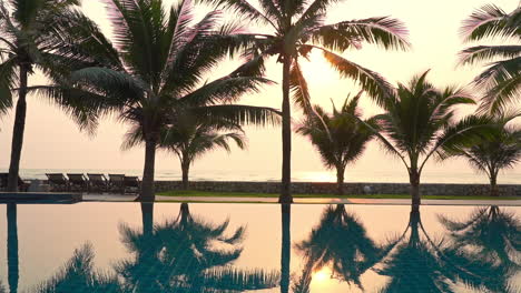 Palm-trees-silhouettes-and-reflections-on-infinity-pool-water,-Tropical-serenity-on-golden-hour-sunlight,-static-full-frame