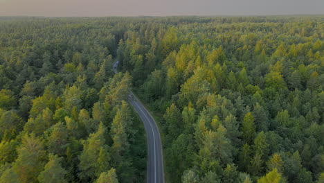 Aerial-dolly-right-shot-of-car-driving-on-road-surrounded-by-green-forest-during-daytime