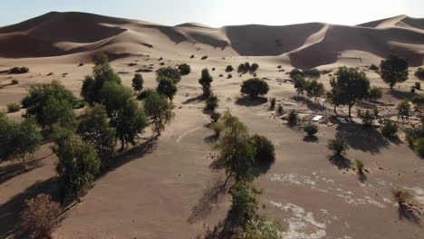 Drone-perspective-of-vegetation-in-desert-of-Morocco
