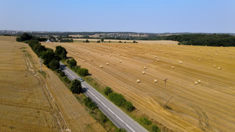 Aerial-of-harvested-yellow-farmland-with-hay-bales-drying-in-summer-sun