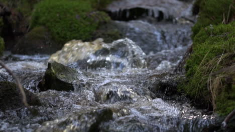 Slowmotion-closeup-video-of-small-fresh-creek-flowing-beautifully