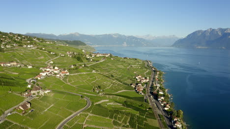 Acres-Of-Green-Farmlands-And-Vineyard-In-Lavaux-Switzerland---aerial-shot