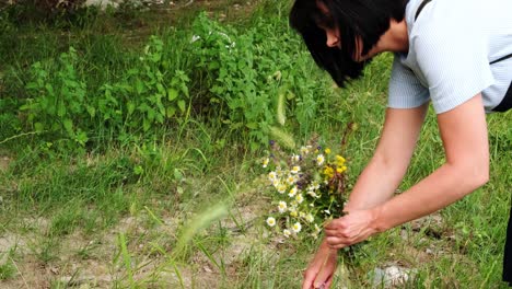 Young-woman-hand-picking-spring-flowers-in-the-woodlands-to-make-a-bouquet