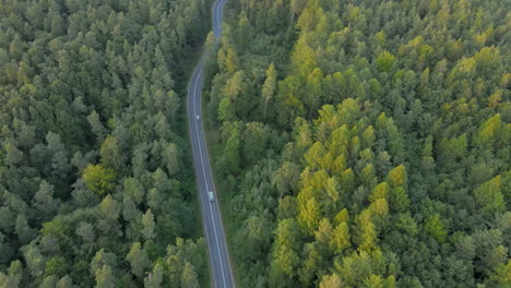 Aerial-top-down-shot-of-driving-cars-and-trucks-on-road-through-fir-forest-during-sunlight