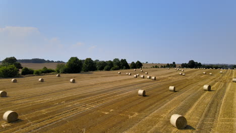 Side-tracking-shot-of-fields-of-hay-bales-with-good-copy-space