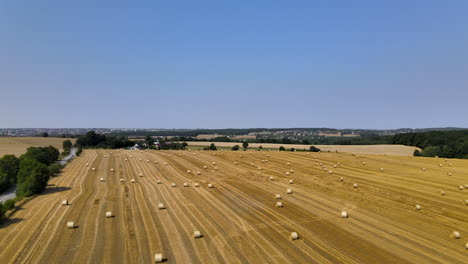 Crane-up-view-of-fields-of-hay-bales-with-good-copy-space