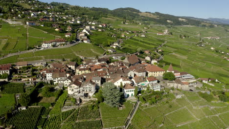 Terrazas-De-Viñedos-De-Lavaux-Que-Rodean-El-Pueblo-De-Grandvaux-Durante-El-Verano,-Suiza---Drone-Aéreo