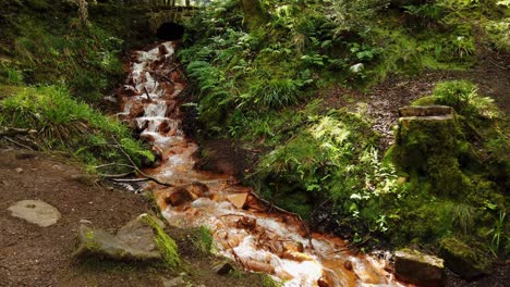 Clay-coloured-waterfall-passing-under-a-bridge-in-a-leafy-Scottish-forest