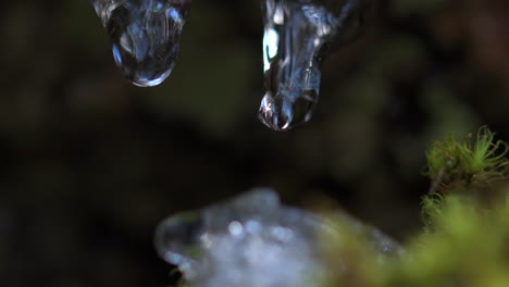 Macro-shot-of-water-dripping-from-two-icicles