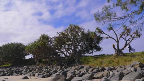 Felsen-Und-Bäume-Am-Strand---Crescent-Head-Nsw-Australien---Zeitlupe