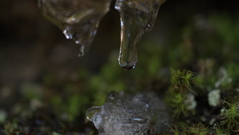 Slowmotion-macro-shot-of-water-drops-falling-from-icicles