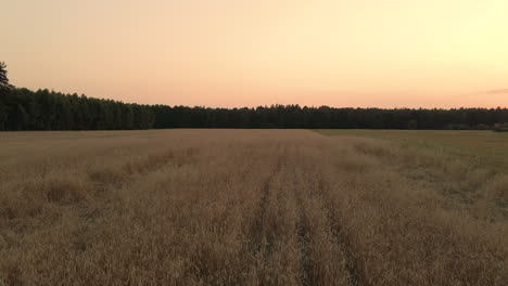 Low-angle-pull-out-shot-of-fields-of-dried-grass-in-the-rural-polish-countryside-at-sunset