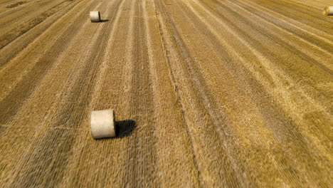Aerial-over-harvested-field-of-golden-grain-with-round-hay-bales-drying-in-sun
