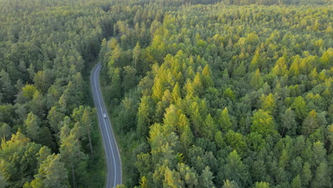 Beautiful-aerial-of-cars-driving-down-rural-highway-road-through-forest-at-sunrise