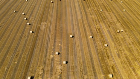 Aerial-view,-wide-pull-out-shot-of-farmers-field-full-of-hay-bales-at-harvest-time