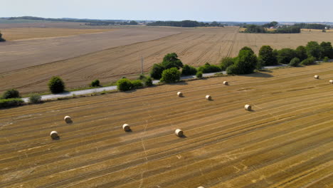 Rows-of-hay-bales-in-a-farmers-field