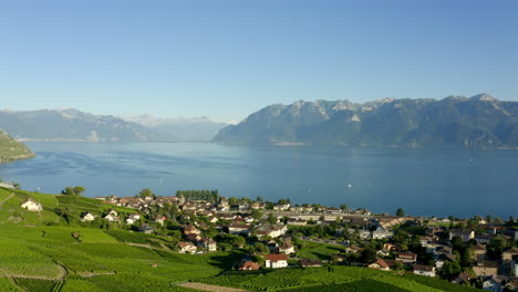 Malerische-Hügellandschaft-Des-Dorfes-Cully---Lavaux-weinberg-In-Der-Schweiz---Luftaufnahme