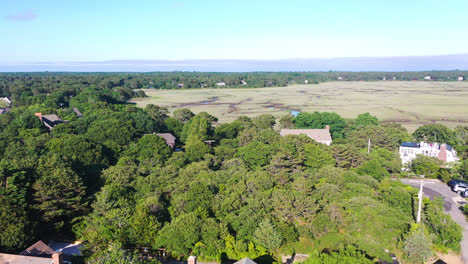 Cape-Cod-Aerial-Drone-Footage-of-Marsh-and-Houses-in-Forest-Surrounded-by-Trees