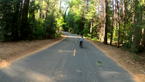 Summer-bike-riding-in-Yosemite-National-Park,-USA