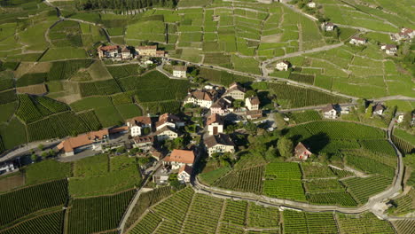 Casas-Típicas-En-El-Pequeño-Pueblo-De-Aran-Junto-A-Las-Exuberantes-Y-Verdes-Terrazas-De-Viñedos-De-Lavaux,-Suiza---Drone-Aéreo