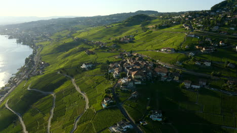 Hermosas-Casas-En-El-Pueblo-De-Grandvaux,-Terrazas-De-Viñedos-De-Lavaux,-Suiza-Con-Retroiluminación---Drone-Aéreo