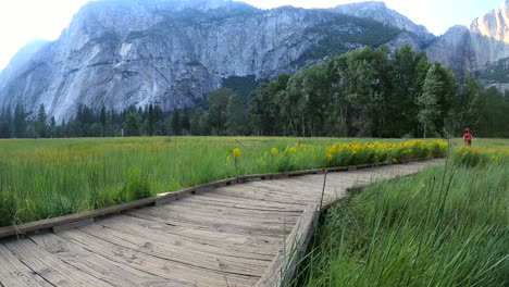 Mujer-Caminando-Sola-Disfrutando-De-La-Naturaleza-Y-El-Aire-Libre-En-El-Parque-Nacional-De-Yosemite,-Estados-Unidos