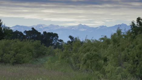 Idaho-view-of-snowy-Wyoming-mountains-from-trees,-long-shot