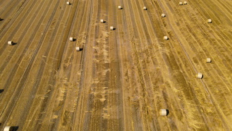 Golden-brown-fields-of-bales-of-hay