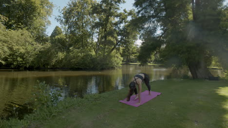 Young-woman-doing-upward-and-downward-facing-dog-yoga-exercise-in-beautiful-park
