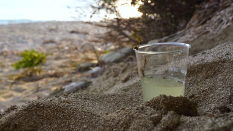 Hornissen-Ertrinken-In-Einem-Glas-Mit-Prickelnden-Getränken-Und-Trinken-Herumfliegend-Auf-Dem-Sand-Des-Strandes
