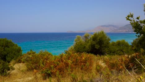 Mediterranean-seascape-of-olive-trees-and-bushes-on-hills-with-blue-turquoise-sea-and-bright-sky-background-in-summer