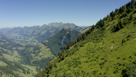 Paisaje-Típico-En-Los-Alpes-Suizos-Con-Exuberantes-Campos-Verdes-Y-Bosques-De-Abetos,-Cantón-De-Vaud-En-Suiza-Durante-El-Verano---Drone-Aéreo