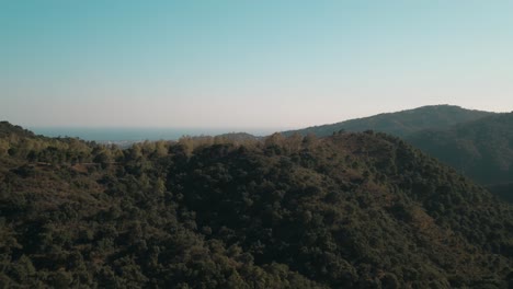 Aerial-view-of-dry-forest-tilting-up-into-the-horizon