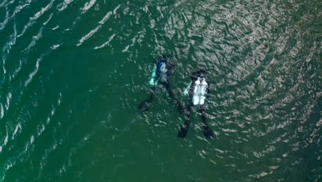Top-Down-Aerial-View-of-Two-Scuba-Divers-Swimming-in-Turquoise-Waters
