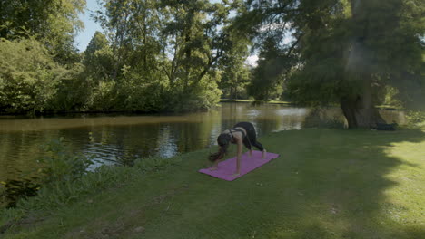Young-woman-doing-upward,-downward-facing-dog-yoga-exercise