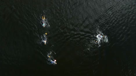 Group-of-Professional-Swimmers-Competing-in-a-Lake,-Aerial-Birds-Eye