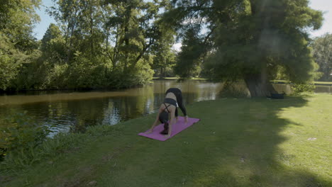 Junge-Frau,-Die-Yoga-übungen-Im-Schönen-Park-Beendet