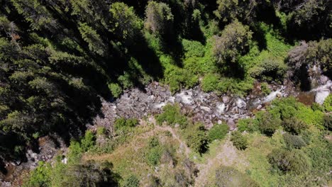Luftaufnahme-Eines-Wasserstroms-Durch-Den-Wald-Im-Grand-Teton-Nationalpark