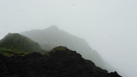Frailecillos-Atlánticos-Volando-A-Través-De-La-Niebla-Sobre-La-Exuberante-Montaña-Rocosa-De-Reynisfjall-En-La-Costa-Sur-De-Islandia---Tiro-Panorámico-De-ángulo-Bajo