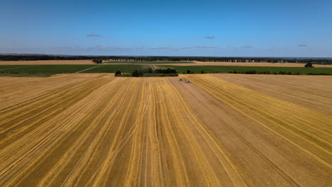 aerial-footage-around-two-combine-harvester-working-on-gold-wheat-field-during-harvesting-season