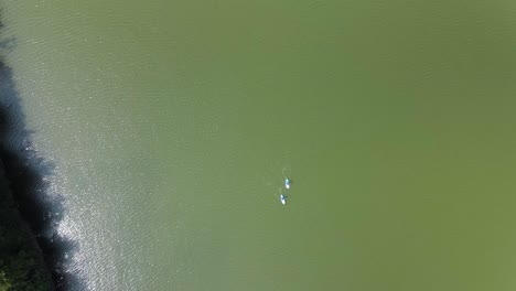 Top-down-aerial-view-of-2-stand-up-paddle-boarders-on-green-lake