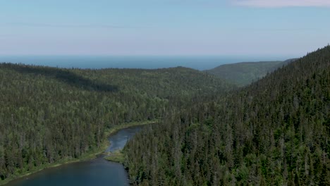 Forests-near-Sainte-Anne-Des-Monts-Quebec-Canada